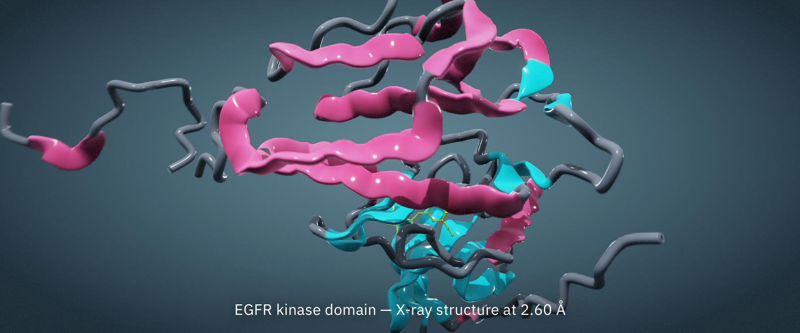 EGFR kinase domain rendered in Molstudio